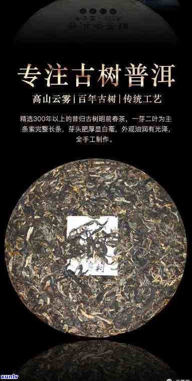 普洱昔归茶：低海拔茶园的珍贵瑰宝