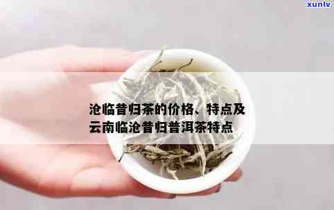 云南昔归普洱茶泡法及口感特点价格一览