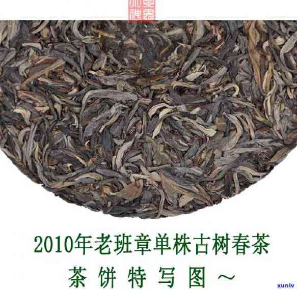 老班章单株古树茶特点与价格解析