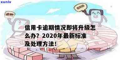 2020年信用卡逾期还款新规定标准解读