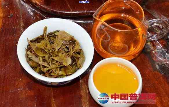 昔归普洱：生茶传奇还是熟茶佳品？探究其独特魅力