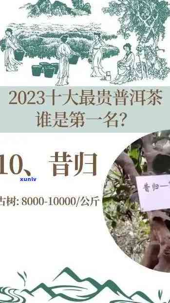 昔归古树普洱茶价格：2023年、2019生茶、2020年茶叶特点与熟茶行情对比