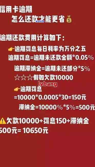 信用卡逾期费用计算与追回标准及减免申请指南