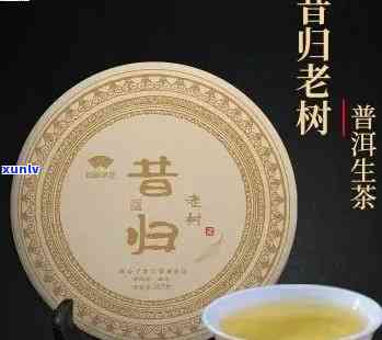 昔归普洱生茶：风味独特，品质优异