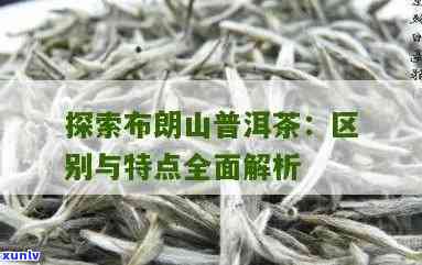 布朗山和昔归茶叶对比：口感差异与特点分析