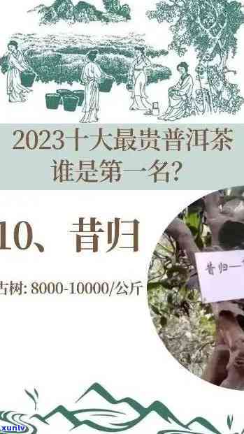 昔归普洱茶多少钱：生茶/饼/斤最新价格2023