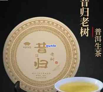 昔归普洱：生茶传奇还是熟茶佳品？