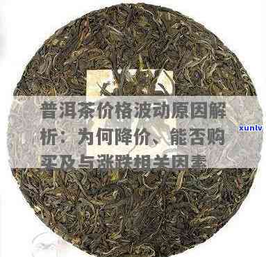 探究昔归普洱茶价格波动之谜：因素与市场影响