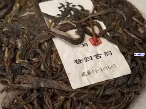 昔归古树普洱茶特点及价格分析