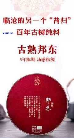 昔归古树茶怎么样：口感、香气、冲泡与价格解析