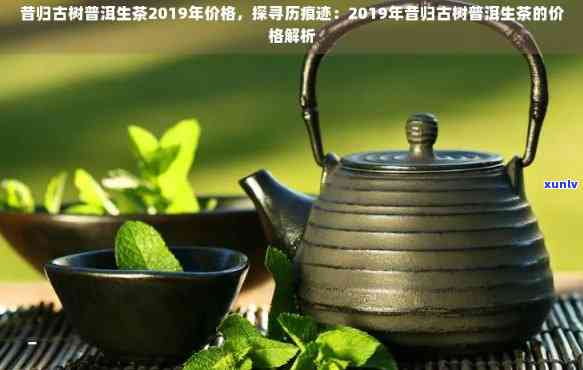 2019年昔归古树普洱生茶价格走势及市场分析-昔归古树普洱茶特点