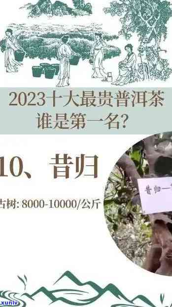 2024年昔归古树普洱茶价格分析：市场供需与品质影响下的走势