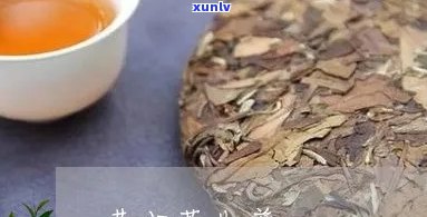 普洱昔归生茶苦不苦-昔归普洱茶生茶