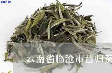 临沧昔归茶多少钱一斤？品味云南特产珍稀茶叶价格与价值分析