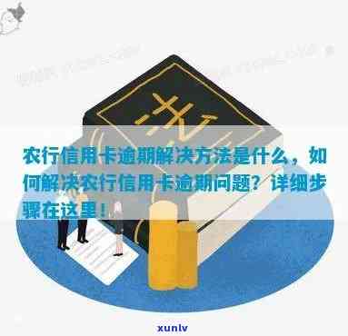 如何处理农行信用卡逾期问题？