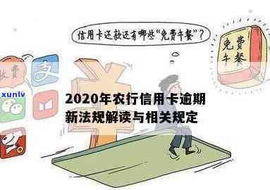 2020年农行信用卡逾期新法规解读与2021年更新