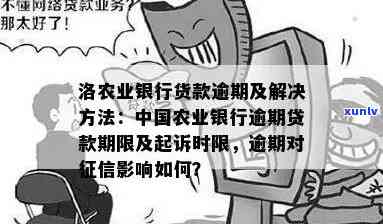 农业银行信用贷款逾期现象引发关注，专家支招应对策略