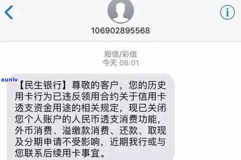 掌上生活信用卡逾期记录怎么查：查看逾期与消费记录指南