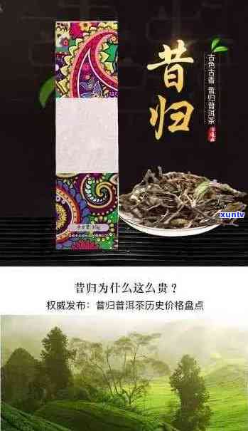 昔归普洱茶：历与风味的完美结合