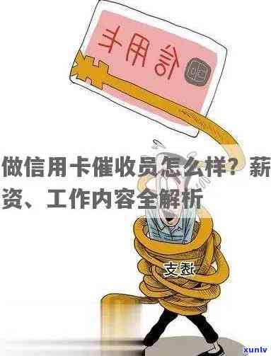 做信用卡逾期管理员怎么样：利润、工作详情与解决方案提供商