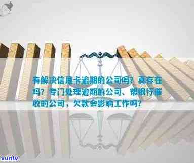 有解决信用卡逾期的公司吗？专业处理信用卡逾期公司及银行影响与职位安全