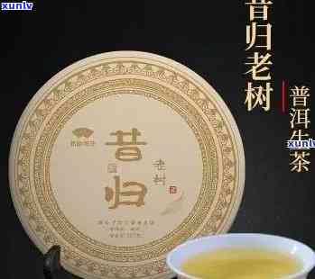 揭秘昔归普洱生茶饼价格：稀有茶叶的经济学-昔归普洱生茶多少钱一饼