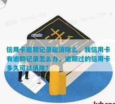 信用卡逾期记录显示几年-信用卡逾期记录显示几年内