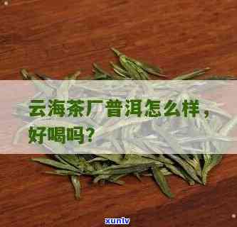 云海茶厂普洱怎么样-云海茶厂普洱怎么样啊