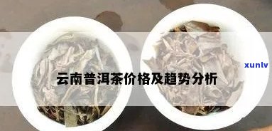 云顶普洱茶价格走势分析：珍品茶叶市场的风向标