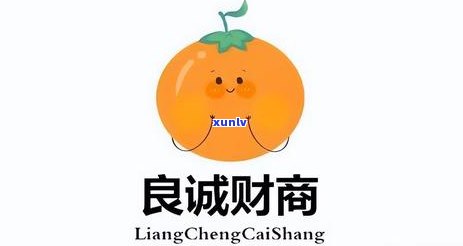 网贷信用卡逾期了-网贷信用卡逾期了暂时还不上怎么办