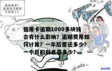 逾期信用卡欠款1000元一个月，所需支付的利息详情解析