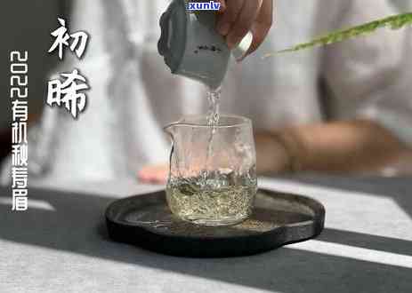 普洱茶优质原料指南：探索不同配料对口感的越影响