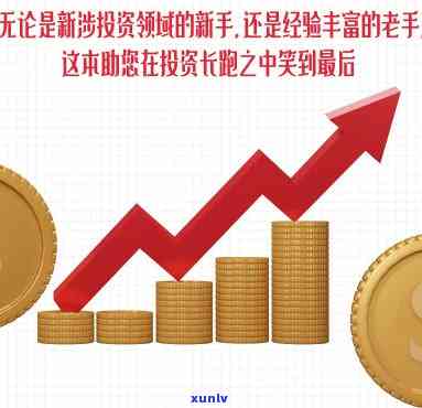 探索'鼠你有钱.com'：解锁财富增长的秘诀