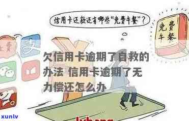 应对信用卡逾期欠款：无力偿还时的应对策略