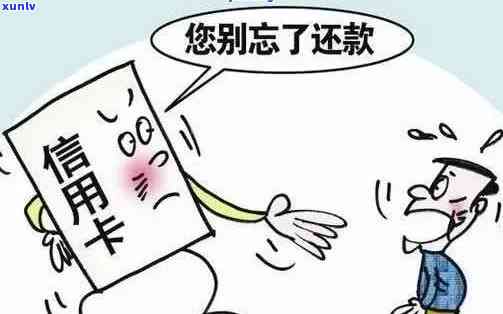 信用卡逾期银行不催缴怎么办？欠款未原因及处理指南