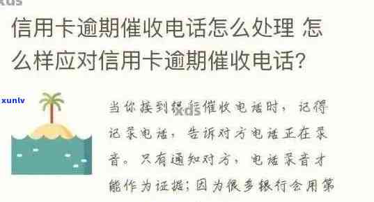 如何针对信用卡逾期未催缴问题向银行发起投诉？