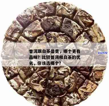 白茶与普洱茶价格对比：哪个更值得投资？