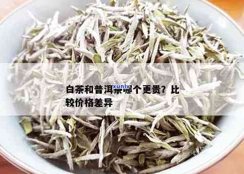 白茶与普洱茶价格对比：哪个更值得投资？