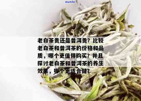 白茶与普洱茶价格对比：哪个更值得投资？