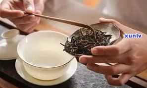 轻松掌握普洱颗粒茶冲泡技巧，尽享茶香岁月