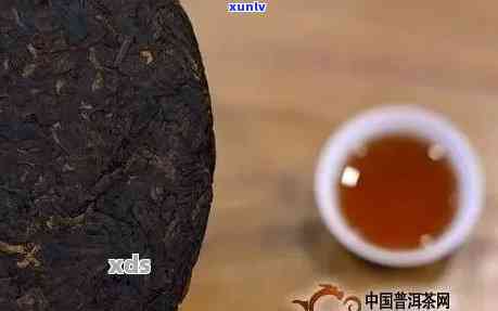 糯香普洱茶泡沫的成因与含义揭秘