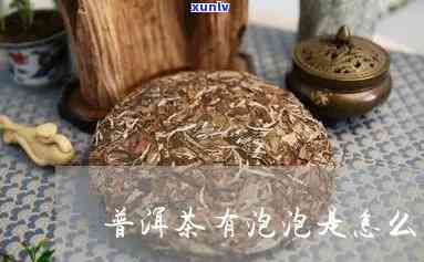 糯香普洱茶泡沫的成因与含义揭秘