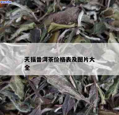 探究天福宝普洱茶价格背后的价值与特色