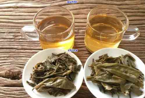 中茶普洱生茶哪个系列好喝：中茶普洱生茶哪个系列更佳选择