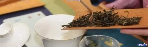 普洱茶小坨泡法：冲泡指南