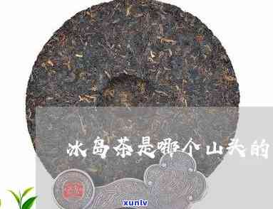 普洱山头茶冰岛-冰岛普洱茶哪个山头