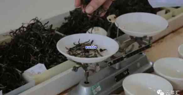 探寻老班章拼配茶：传统与创新的完美融合