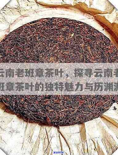 探秘老班章黄金叶：诠释珍稀茶叶的独特魅力