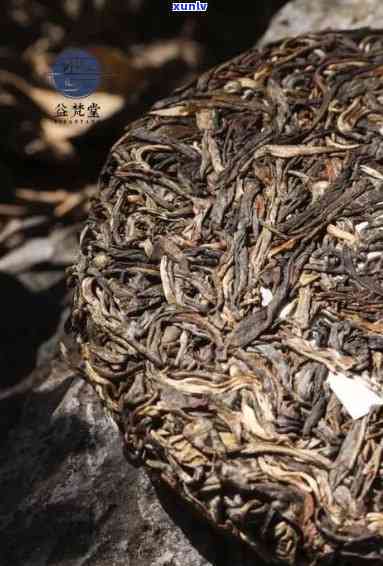 勐乐山普洱是熟茶吗？探究勐乐山普洱茶品质与价格