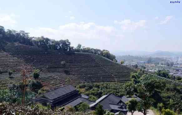 普洱茶区：探秘茶香四溢的名山古寨